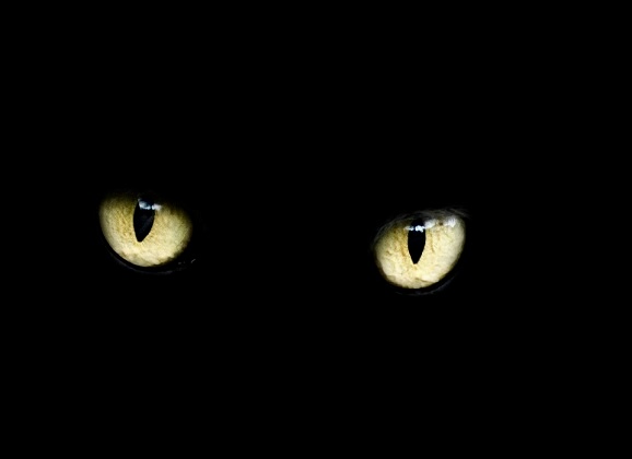 Superstition