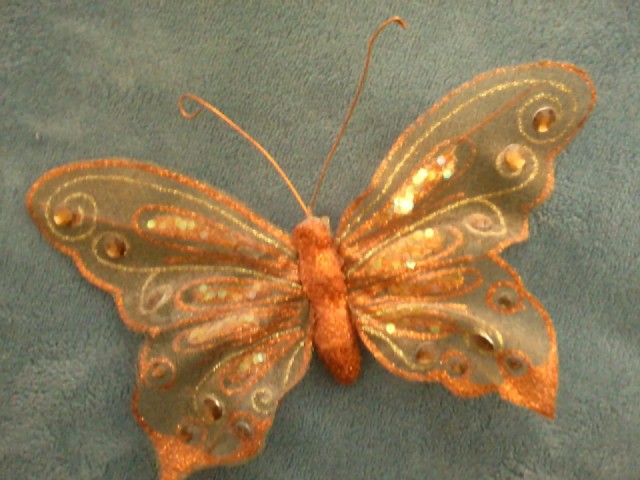 Deja Vu  White Butterfly   By Gio Masserati