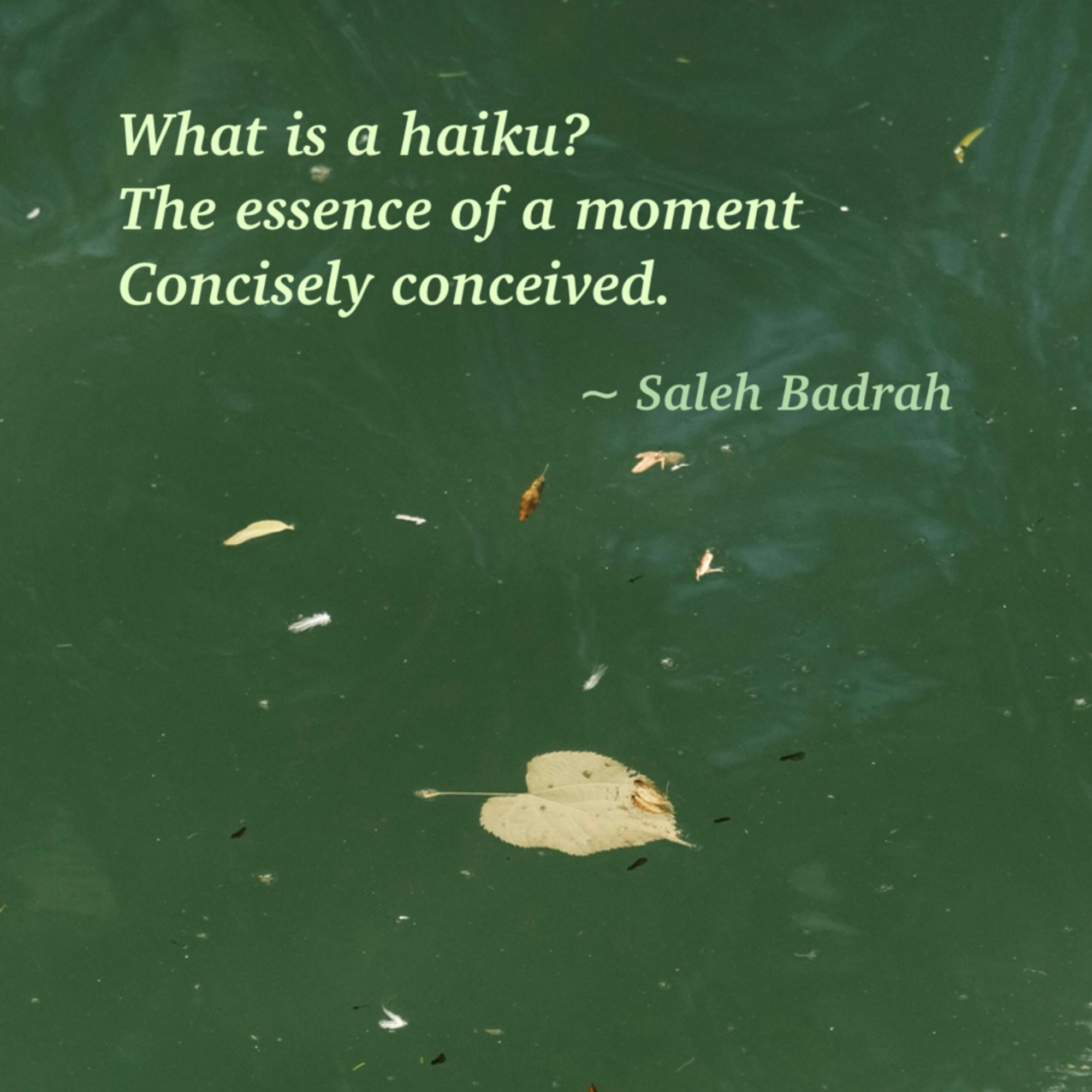 What Is A Haiku?