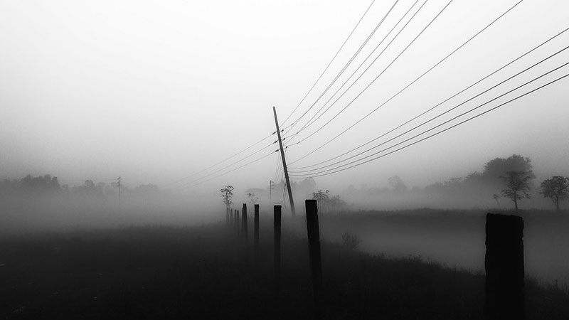 Fog