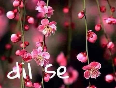 प्रेम प्रसंग