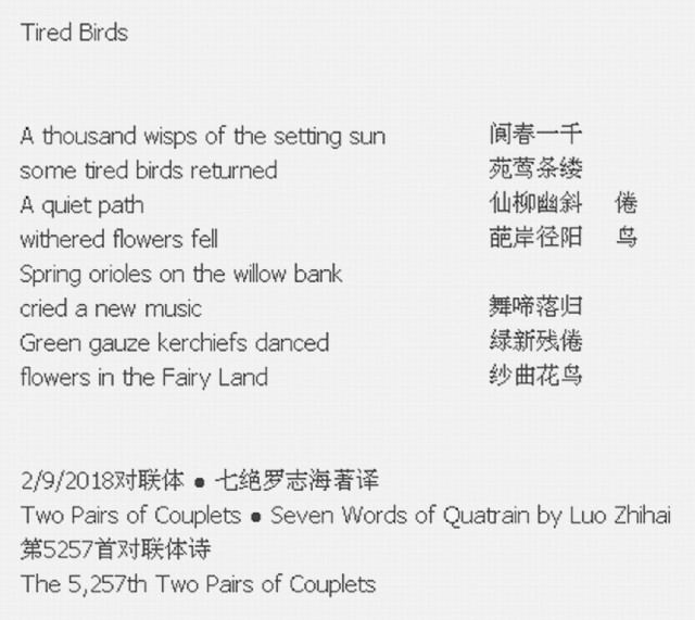 Tired Birds