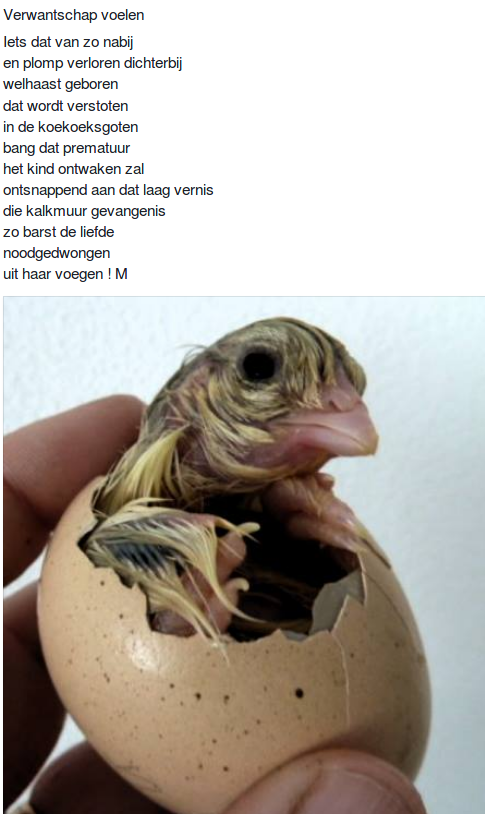 Verwantschap Voelen