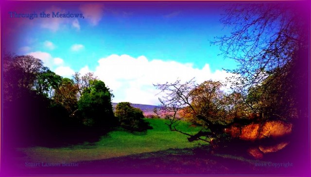 Through The Meadows