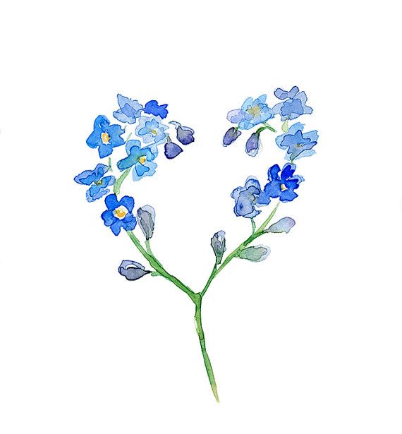 Forget Me Not...