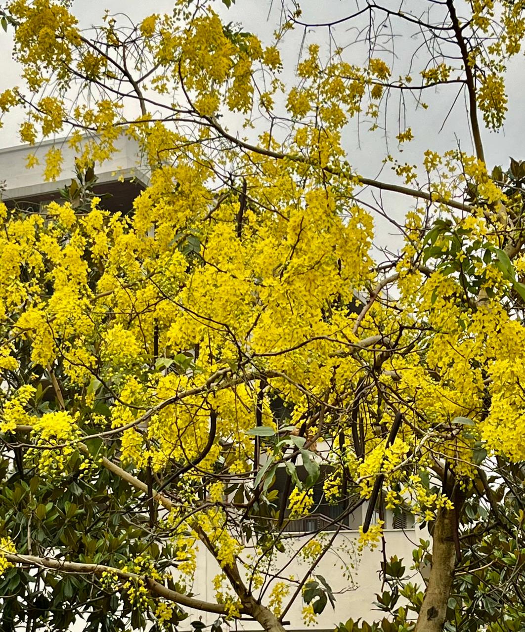 Strangers Once, Friends Forever