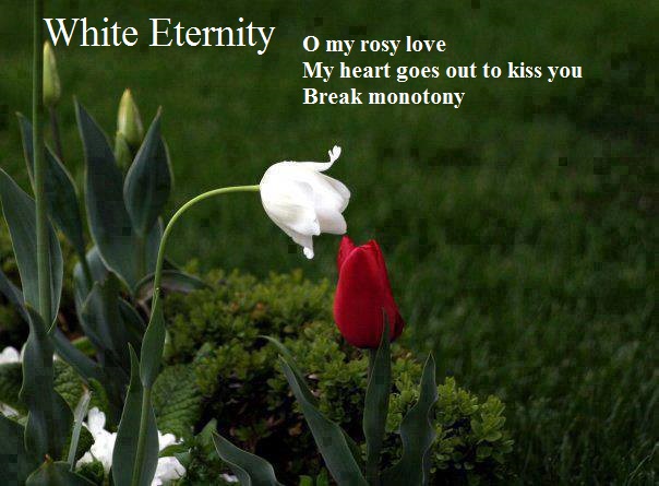 White Eternity