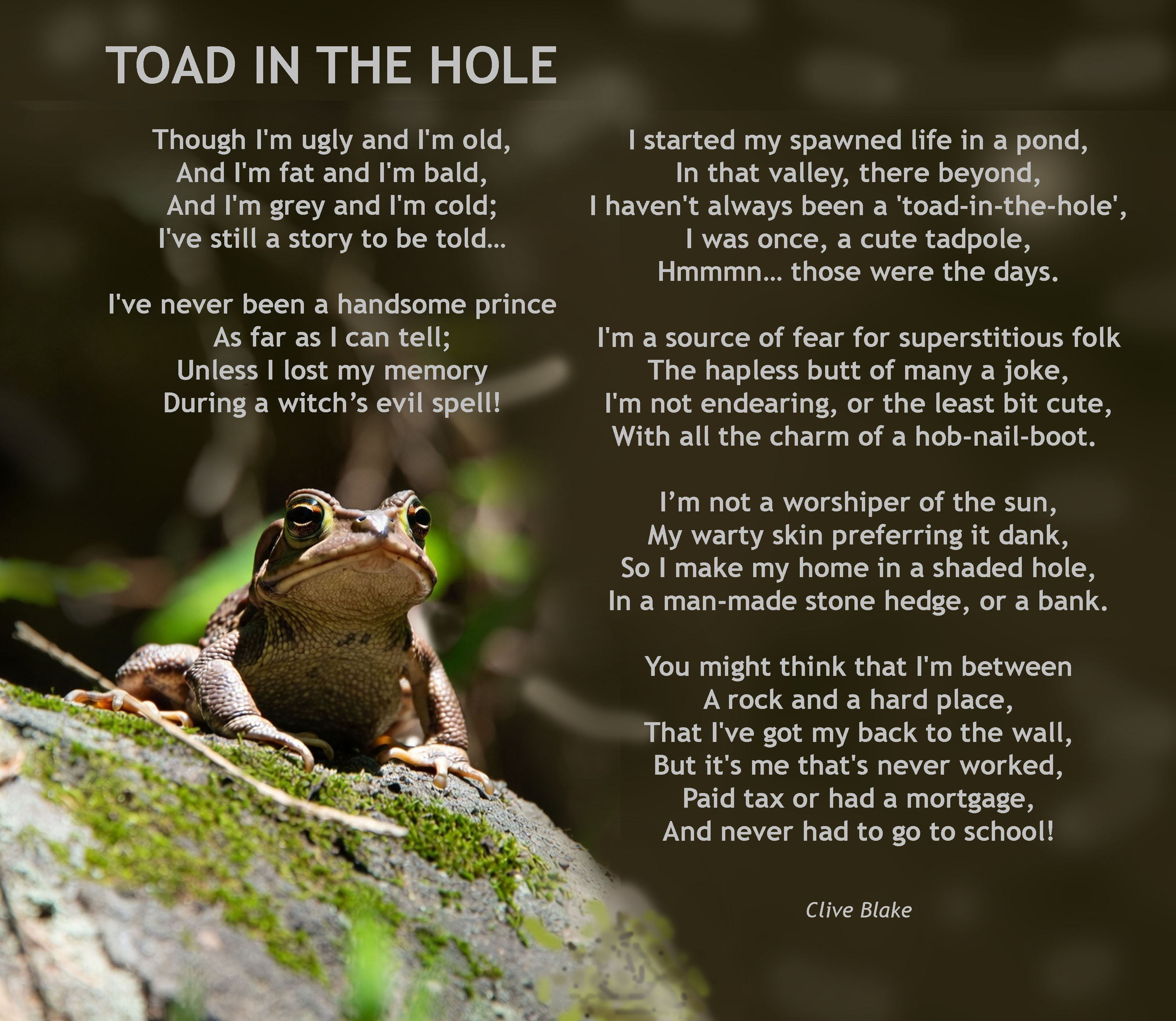 Toad In The Hole