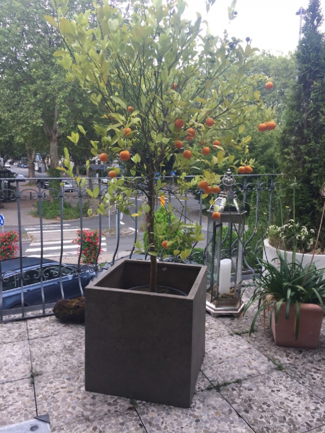 Bochum: September 1st 2019