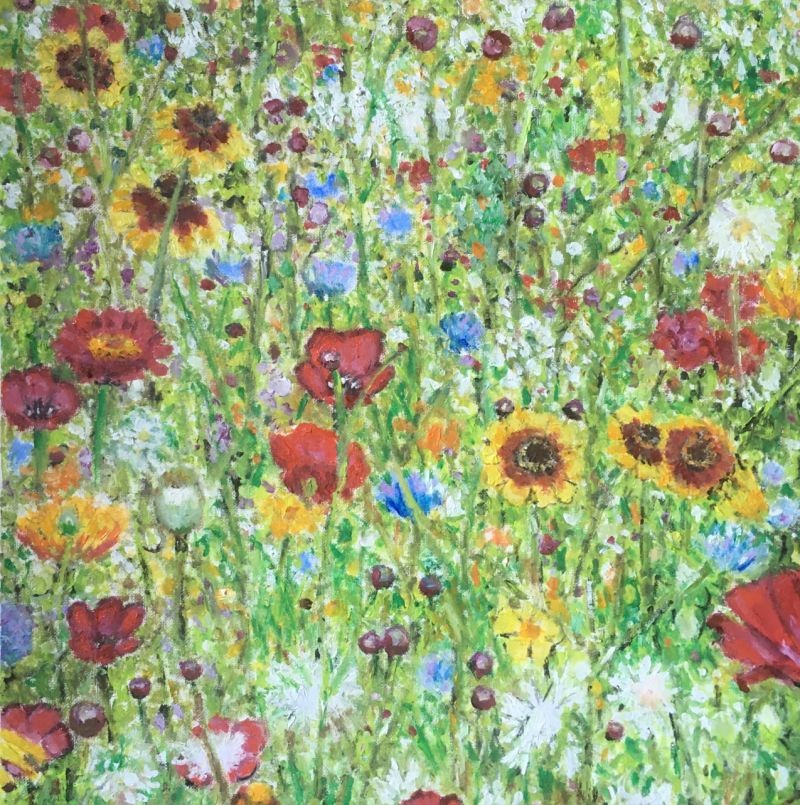 My Summer Garden:                
          (July 4th,2021)