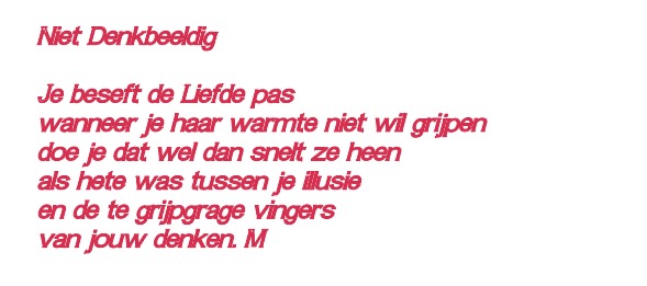 Niet Denkbeeldig