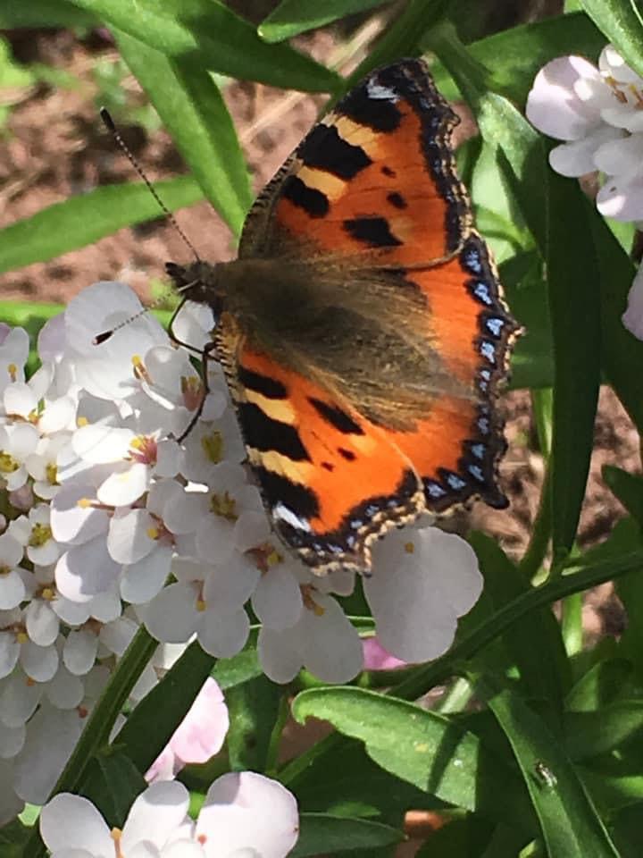 Happy Heavenly Father's Day❤️