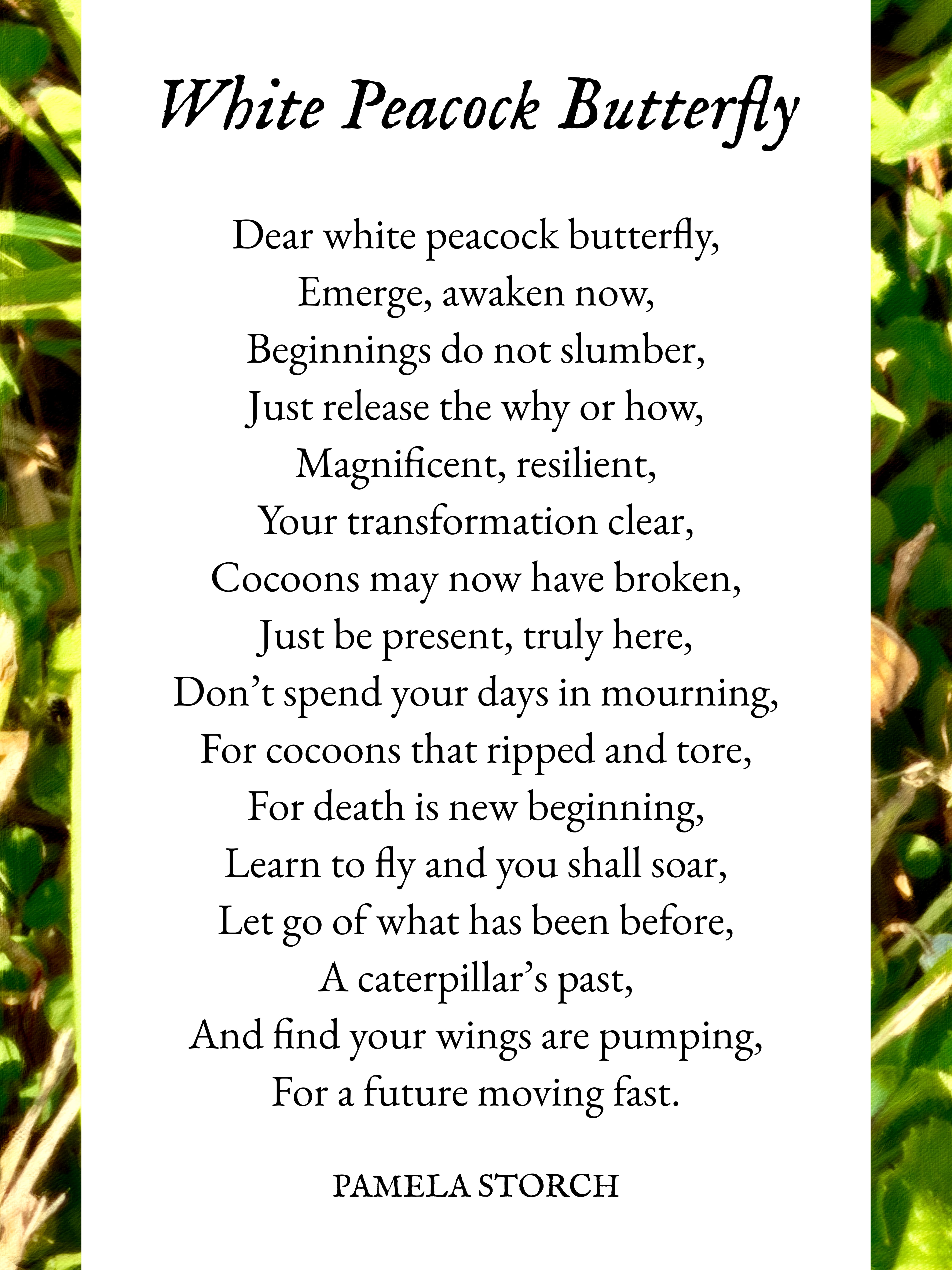 White Peacock Butterfly Poem