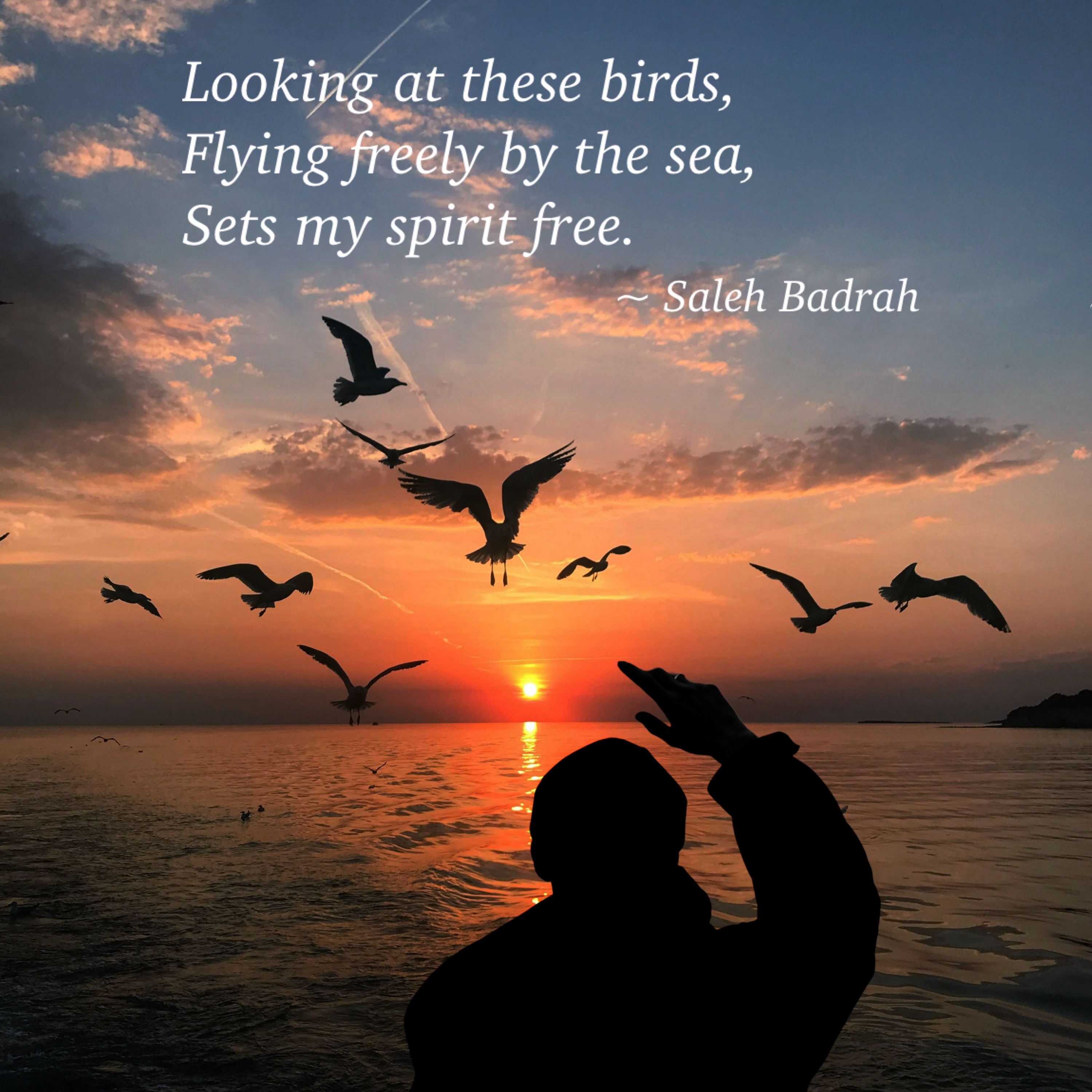 Looking At These Birds