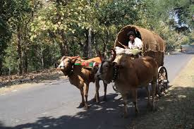 ज़िंदा हूँ मगर   Jinda Hun