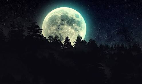 The Longest Night