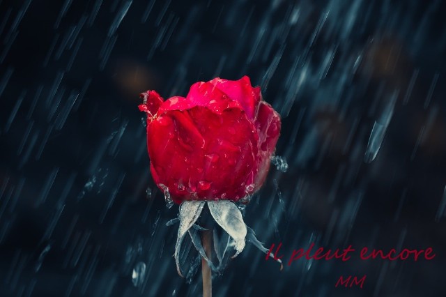 Il Pleut Encore