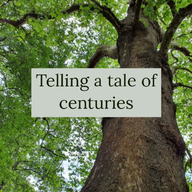 Telling A Tale Of Centuries