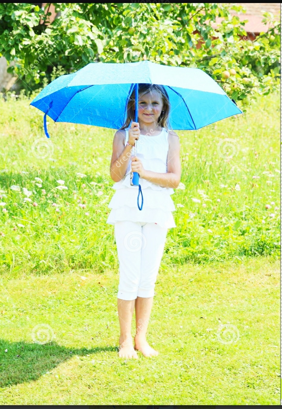 The Blue Umbrella
