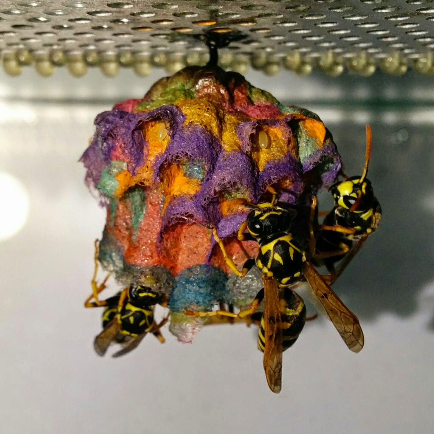 Life Loves Pauses For Rainbow Coloured Choices