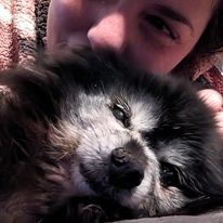 My Dogs World Forever