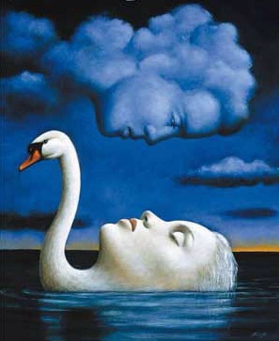 The Swan Meets The Cloud