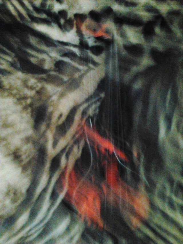 When Will This Harvest Ripen? By Gio Masserati