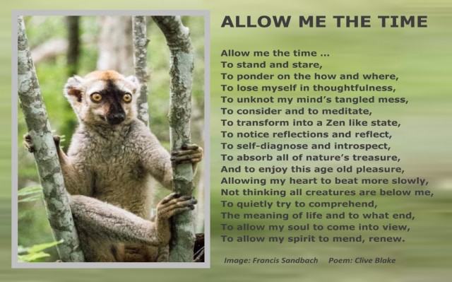 Meditation Poem - Allow Me The Time