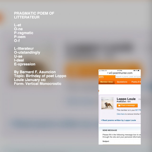Pragmatic Poem Of Litterateur