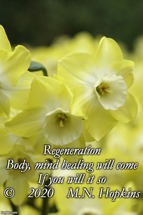 Regeneration
