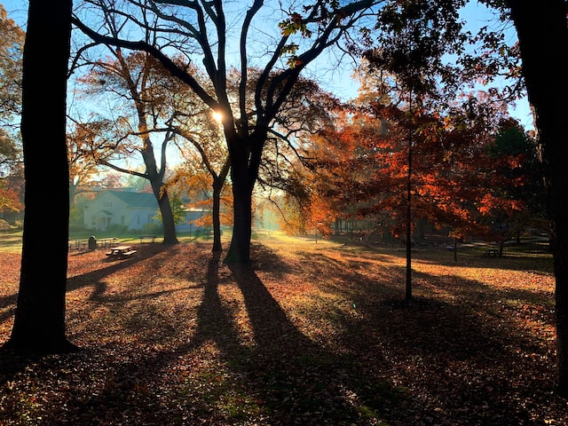 When Shadows Grow Long