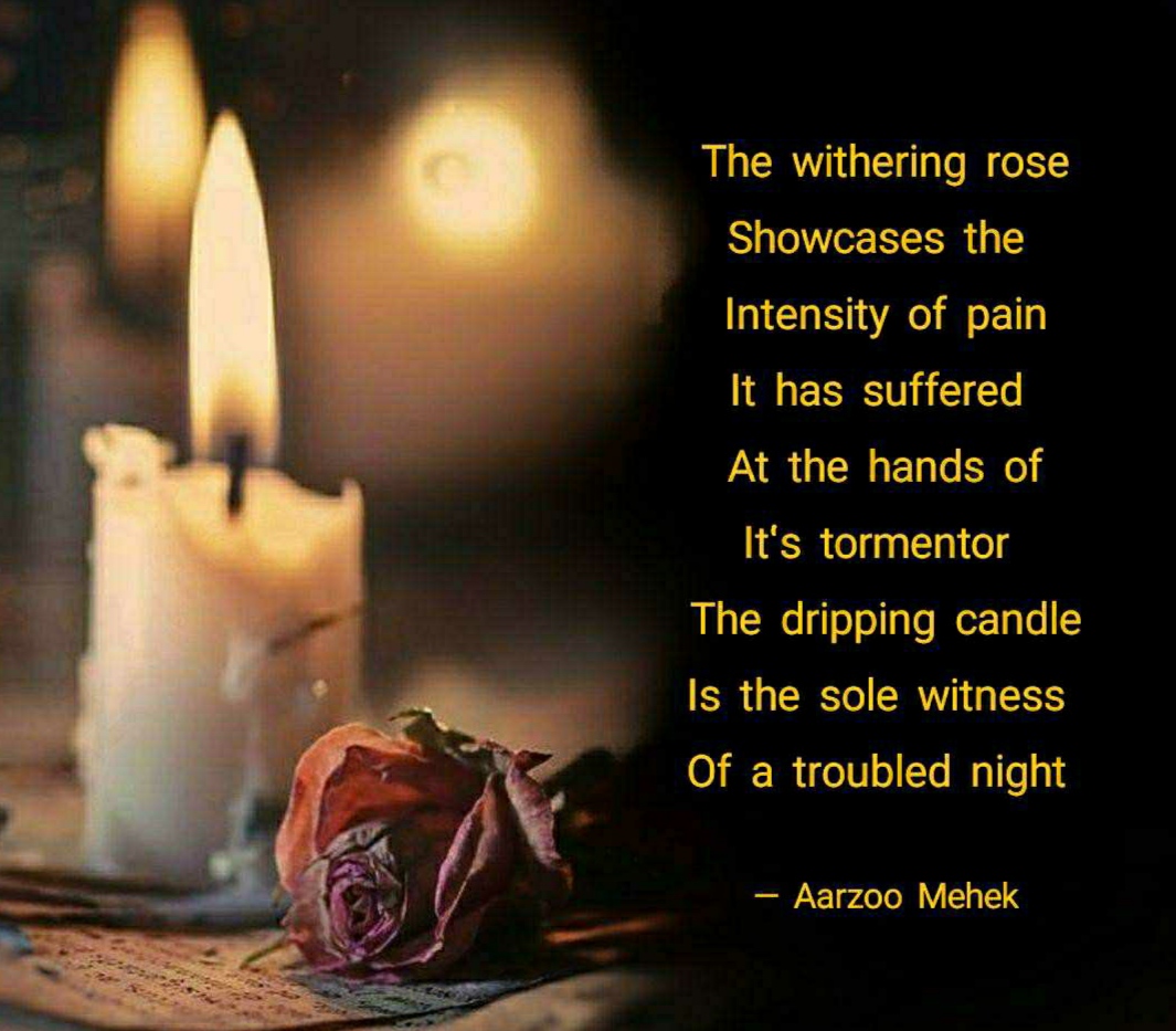 The Withering Rose