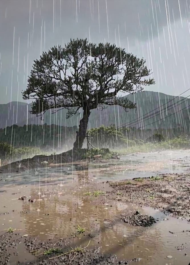The Serene Rain..!