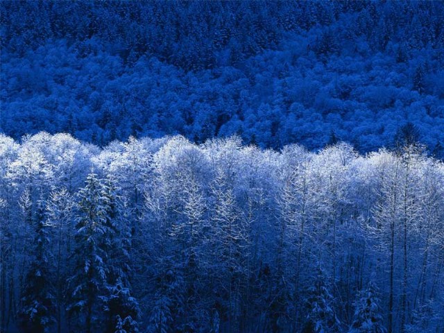 When Snows Bring Hard Times - عندما تجلب الثلوج الازمنة الصعبة