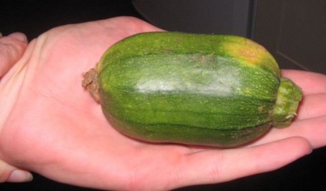 Earth Invaders (Elites?)