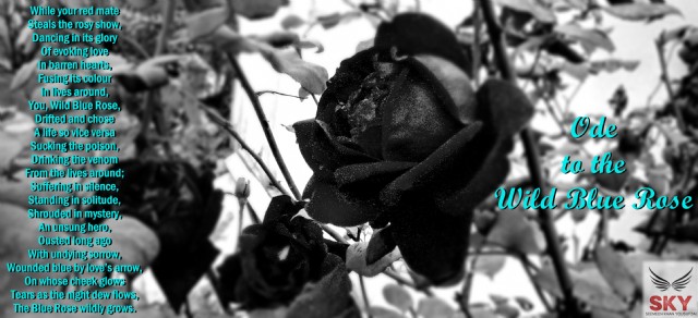 Ode To The Wild Blue Rose