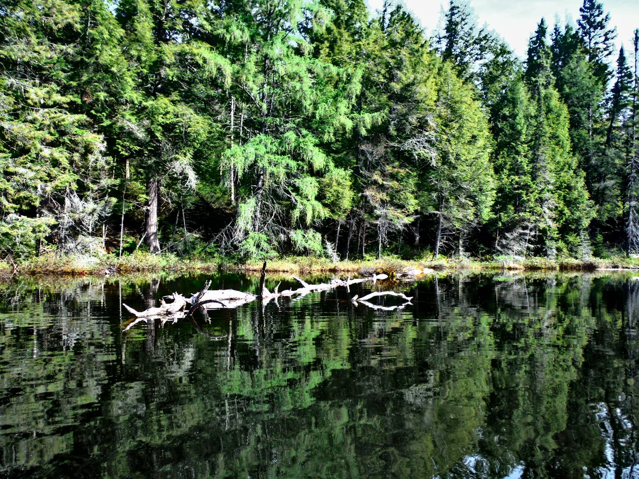 Magnetawan Lake