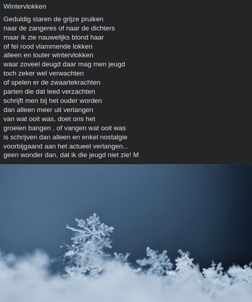 Wintervlokken