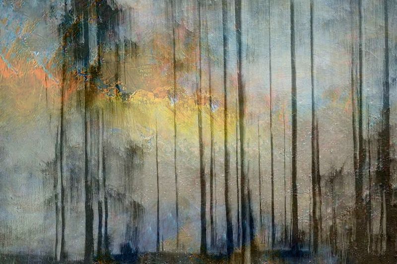 This Winter Solstice:                  
(December 21st,2021)