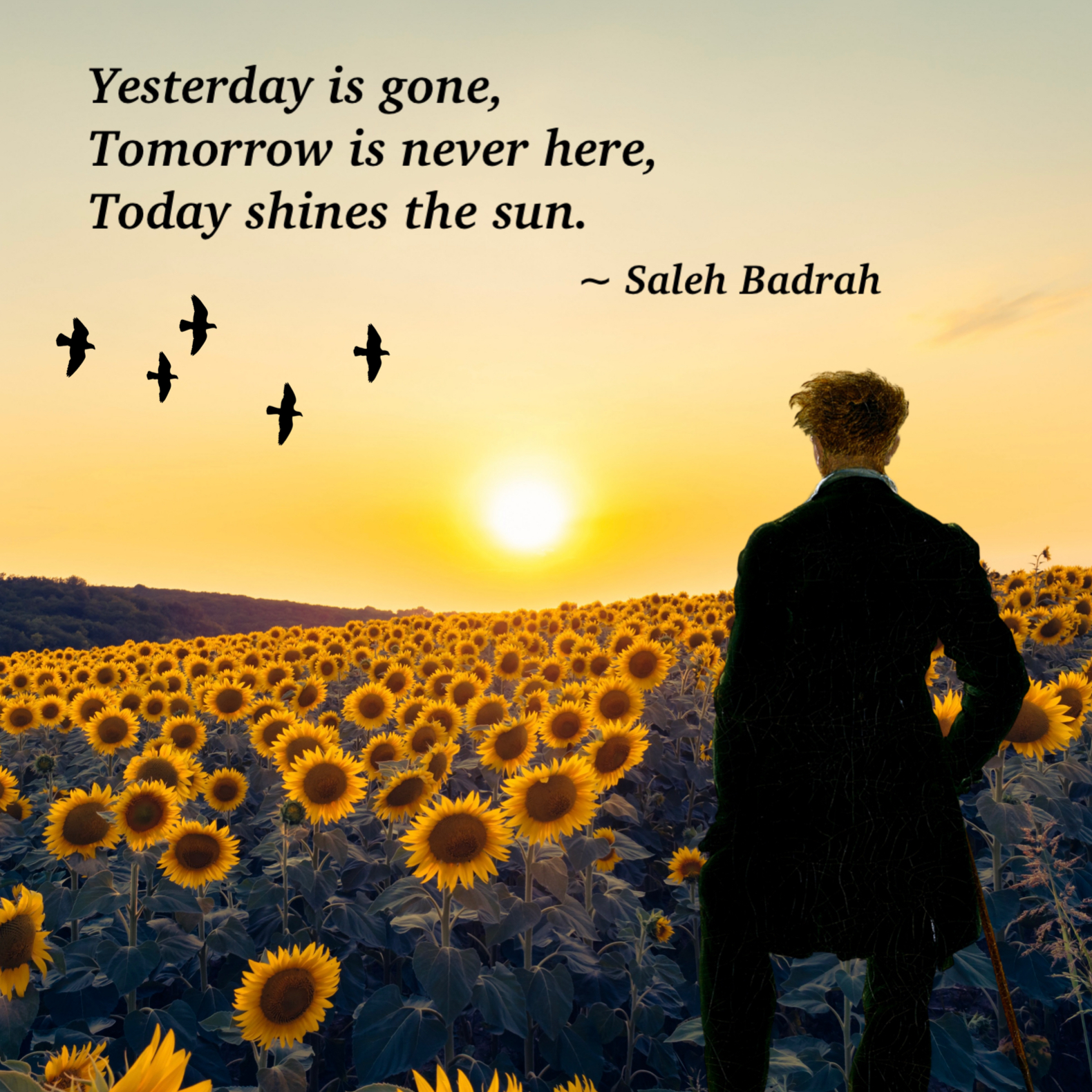 Today Shines The Sun
