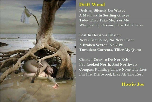 Drift Wood