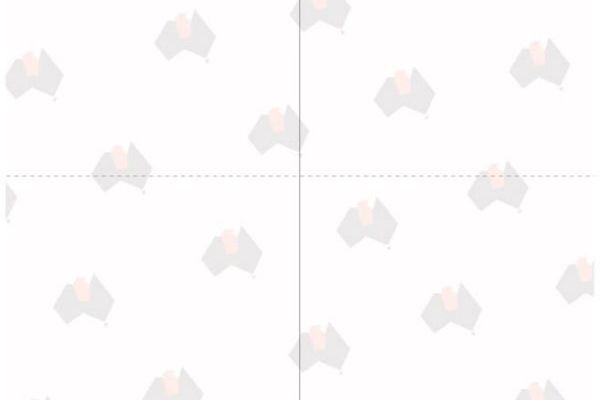 Toilet Paper Substitute