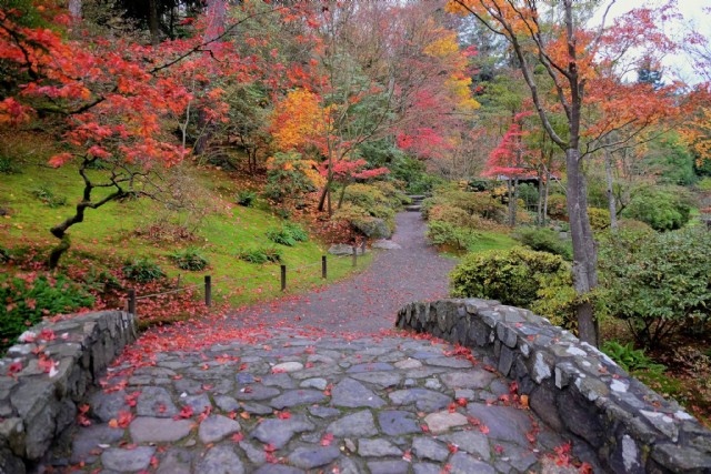 Ph: Haiku: Traditional #18