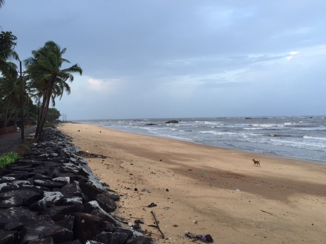The Beach