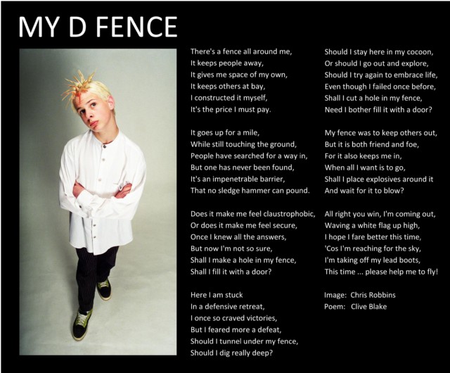 My D Fence