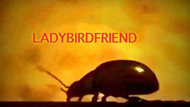 Ladybirdfriend