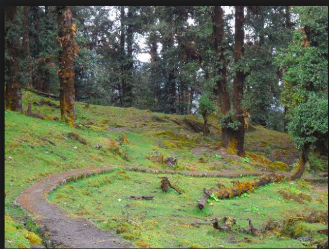 A-099 पगडण्डी का कमाल