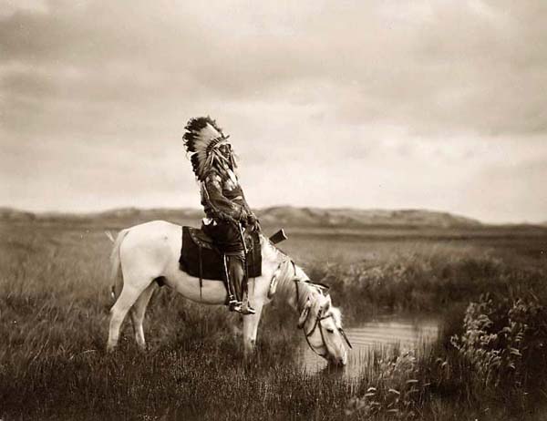 Old Wes 04 (Limerick)