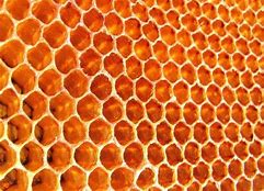 Honeycomb Of Life (Haiku)-02