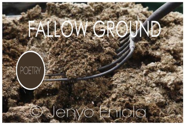 Fallow Ground